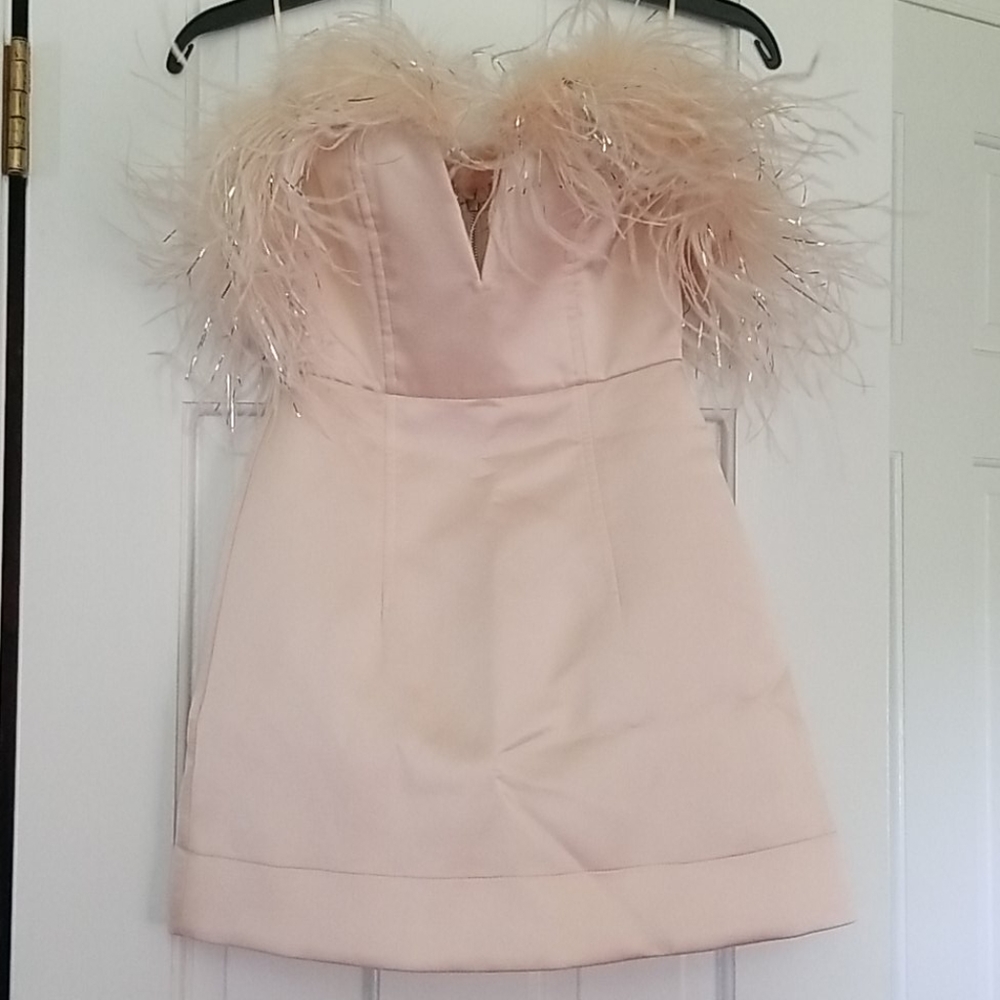 Alice McCall Blush Strapless Dress with Feather Detail